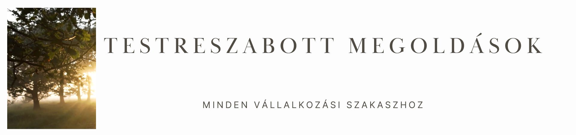 Vállalkozásfejlesztési mentor csomagok